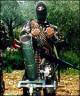Hezbollah
